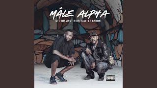 Mâle Alpha feat Le Baron [upl. by Stephine]