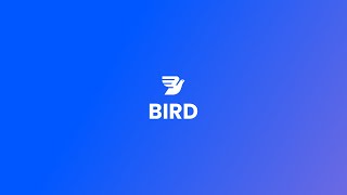 Introducing Bird — Marketing Sales and Payments CRM for modern businesses [upl. by Agnes]