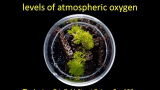 38NPS  Tim Lenton Earliest land plants created modern levels of atmospheric oxygen [upl. by Ena]