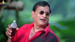 MS Narayana Comedy Scenes Back to Back  Krishna Movie Comedy  Ravi Teja Trisha  Sri Balaji Video [upl. by Koeppel]