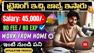 100 Work From Home Jobs  Latest jobs in Telugu HYD  Best Online Part time WFH Jobs in telugu [upl. by Falito]