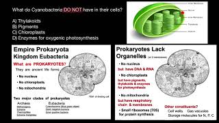 Cyanobacteria Morphology and Cell Structure [upl. by Ttennej123]