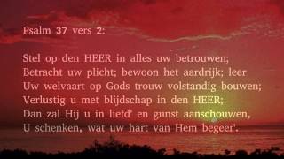 Psalm 37 vers 1 2 en 9  Wees over t heil der bozen niet ontstoken [upl. by Petite]