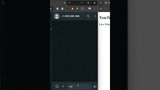 Live WhatsApp Messages on Localhost with SocketIO and WhatsApp Cloud  RealTime Setup Tutorial [upl. by Amerigo]