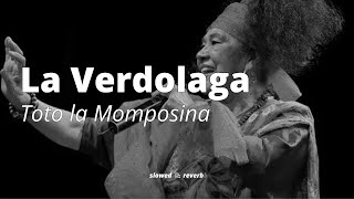 La Verdolaga  Toto la Momposina slowed amp reverb [upl. by Pruchno227]