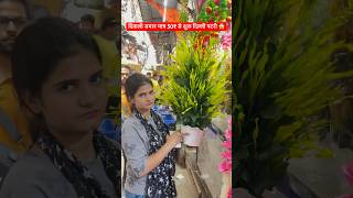 Diwali Decoration wholesale market in Delhi । Cheapest Diwali Decoration items  Sadar Bazar Market [upl. by Etnahsa]