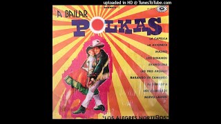 Los Alegres Norteños  A Bailar Polkas LP [upl. by Tocs]