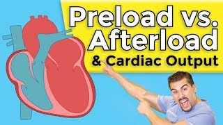 Cardiomyopathy  Preload vs Afterload [upl. by Lyndon371]