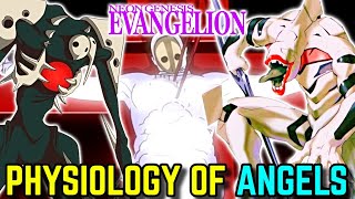 Physiology of Angels in Neon Genesis Evangelion Explored  Where They Came From How They Were Born [upl. by Cirillo]