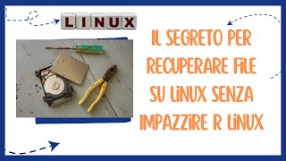 Il Segreto per Recuperare File su Linux Senza Impazzire RLinux [upl. by Sayre309]