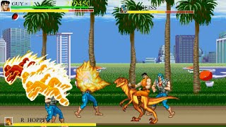 Top Free Game🔥 Final Fight Flash [upl. by Fortune502]