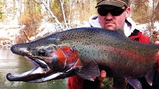 Centerpin Steelhead Fishing [upl. by Nimref]