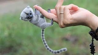 10 ANIMAUX EXOTIQUES LES PLUS MIGNONS QUE VOUS POUVEZ ADOPTER [upl. by Akamaozu]