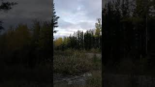 strange unknown noise caught on video [upl. by Kazimir]