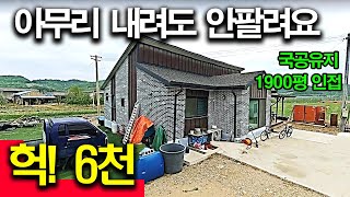 귀농의 현실 싹 다 털렸습니다 집은 수억 들었는데 5년만에 6천에도 안팔립니다 [upl. by Llenwahs928]