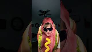 Hot Diggity dog funny music [upl. by Ruenhs501]