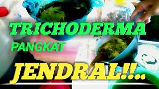 TRICHODERMA pangkat JENDRAL [upl. by Eerised]