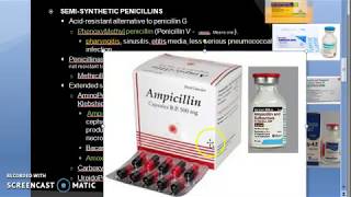 Pharmacology 789 b Semi Synthetic Penicillin Phenoxy methyl Cloxacillin ampicillin amoxicillin [upl. by Nyrhtak114]