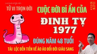 TỬ VI – Cuộc Đời Đinh Tỵ 1977 – Đúng Năm 48 Tuổi Được Lộc Trời Cho Giàu Nứt Vách – Consomayman [upl. by Alleroif]