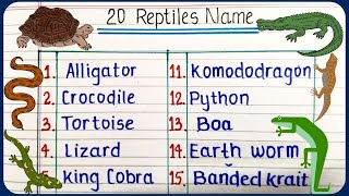 20 Reptiles name  learn reptile names in English  English vocabulary [upl. by Marshal]