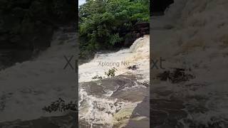 Picnic Spot Near by  Watch Full to check explore shorts madhyapradesh tourism [upl. by Rafaela]