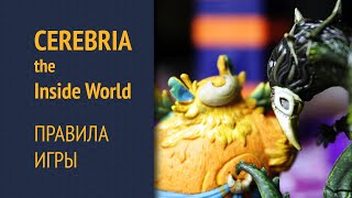 Cerebria The Inside World — Правила игры [upl. by Schaeffer]