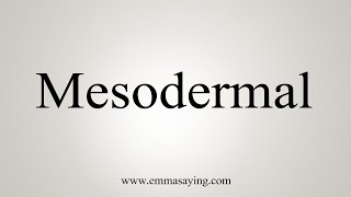 How To Say Mesodermal [upl. by Bullis]