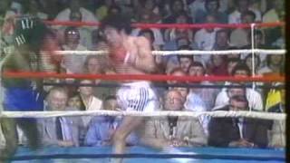 Sergio Víctor Palma vs Leo Randolph parte 3 [upl. by Eecyaj125]