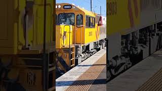 2903 passing morayfield station with horn recorded on August 2nd [upl. by Sigismond]