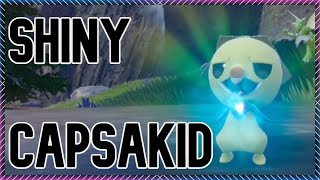 LIVE SHINY CAPSAKIDSCOVILLIAN FULL ODDS POKEMON SCARLETVIOLET [upl. by Nylra]