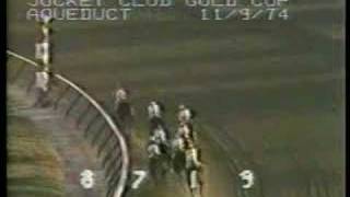 Forego  1974 Jockey Club Gold Cup [upl. by Monteith]