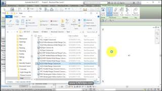 REVIT STRUCTURAL PROJECT 01 TEMPLATE AND FAMILIES [upl. by Orpheus500]