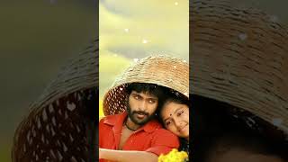 sollitaley ava kadhala song whatsapp status💖 tamillovesong [upl. by Siuqaj22]