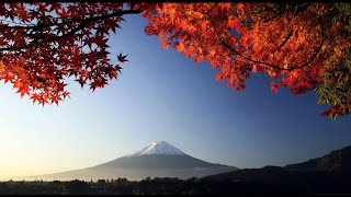 3 HOURS of the Best Traditional Japanese Music  Relaxing Music for Stress Relief and Healing [upl. by Binni]