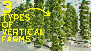 Vertical Farming 2024  3 Different Types Of Vertical Farms [upl. by Gean]