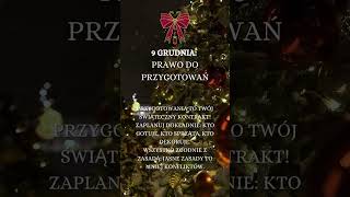 9 grudnia Prawo do przygotowań🎄 Grzegorz Prigan Podcast [upl. by Elfrieda555]