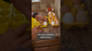 Why NOT Refrigerate Chicken Coop Eggs Right Away [upl. by Navada611]