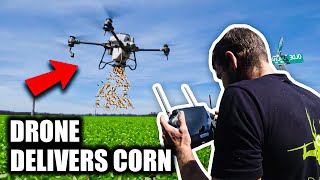 Drone Takes Corn Out amp Sprays Small Food Plot [upl. by Ingrim]