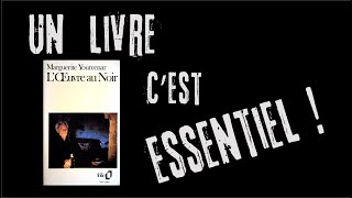 LŒuvre au noir de Marguerite Yourcenar [upl. by Eddy]