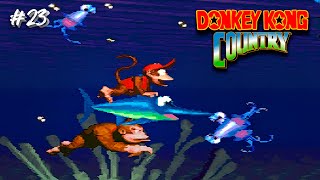 Donkey Kong Country SNES Gameplay ep23 ㅡ Croctopus Chase Gorilla Glacier [upl. by Okkin]