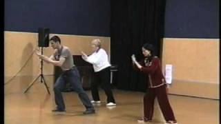 Shi Mei Lin Wu Style Tai Chi Slow Form [upl. by Seavir477]