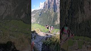 Wingsuit 2 Way from Low Ultimate mountains wingsuit shorts shortvideos freak4 switzerland [upl. by Werdn814]