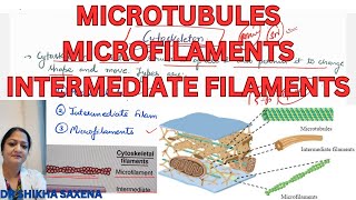 Cytoskeleton microtubules microfilaments intermediate Filaments structure and functions [upl. by Eggleston]