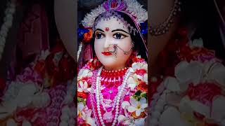 ll Radhe Radhe 🙏 ll🌹🌹viral bhajan YouTube shorts ❤️ [upl. by Edijabab]