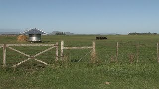 Servicios ecosistémicos la base de los sistemas agrícolas y alimentarios [upl. by Ajiam]