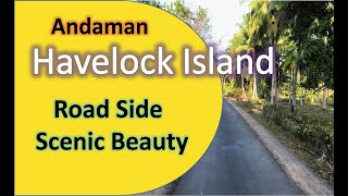 Trip to Havelock Road Ride  Andaman  Port Blair Scuba Diving  Havelock Island  Radhanagar Beach [upl. by Pillsbury]