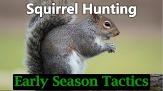 Squirrel Hunting Tips Early Season Tactics [upl. by Isnam117]