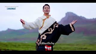 Tibetan song of Tsering Dhondup བོད་ཀྱི་གཞས་པ་ཚེ་རིང་དོན་འགྲུབ། ༢༠༢༤ [upl. by Jefferey]