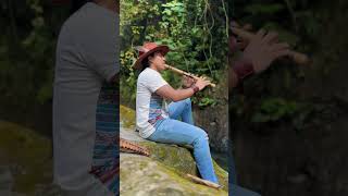 Metasequoia  Flute Panflute livemusic jungle amazon Ecuador river nature cave relax medit [upl. by Ardisj]