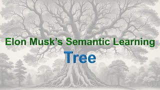 The Semantic Learning Tree  Elon Musks Secret to Learning Faster [upl. by Neeliak]